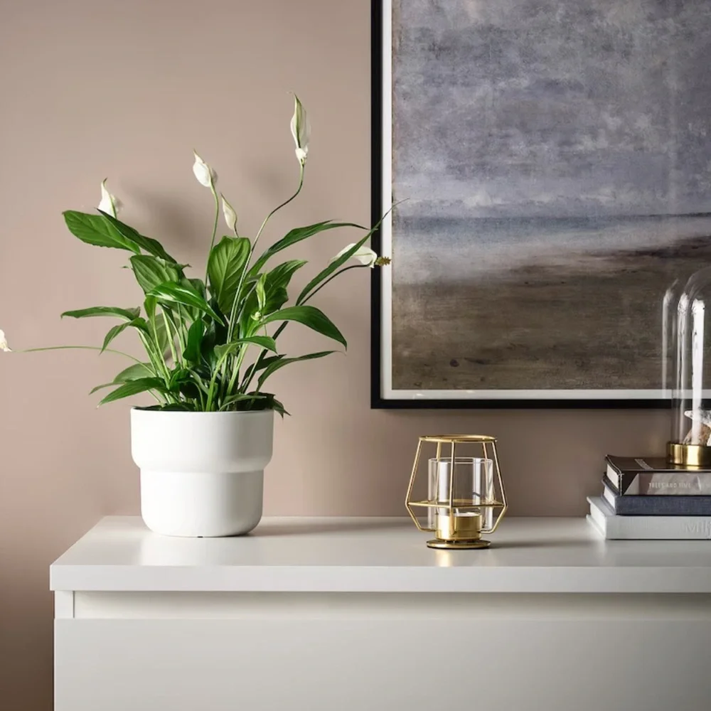 IKEA Brass Tealight Candle Holder